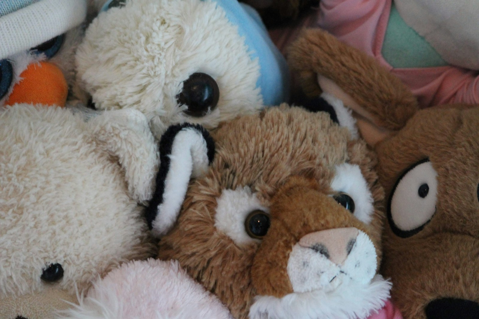 Creative Ways to Display Stuffed Animals in Kids Room